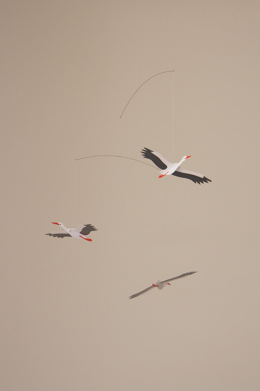 P1010188_1200x.jpg?v=1709101566