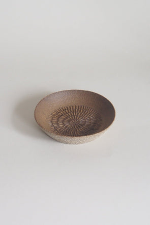 Garlic Grater - Ochre