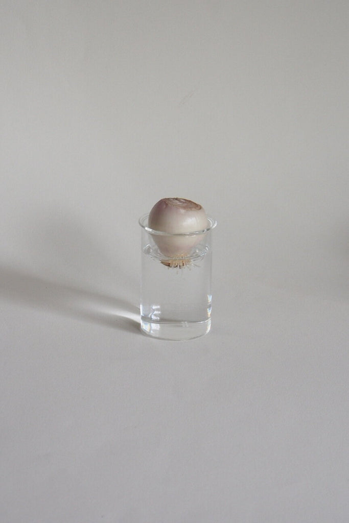 Hydroponic Glass Bulb 'Forcing' Vase - Small - Kura Studio