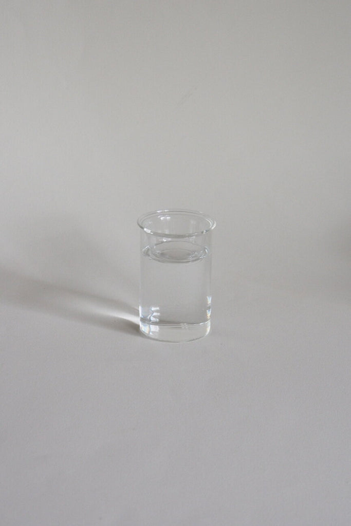 Hydroponic Glass Bulb 'Forcing' Vase - Small - Kura Studio